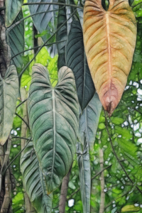 Bild-Nr: 9614818 Rainforest Erstellt von: Galerie-Fotoeffekt