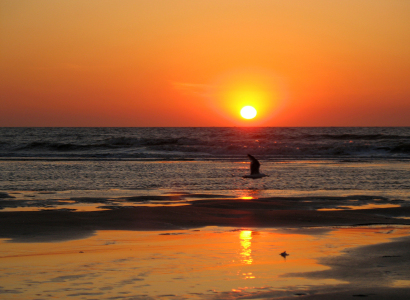 Bild-Nr: 9955053 Sonnenuntergang am Strand Erstellt von: ursand