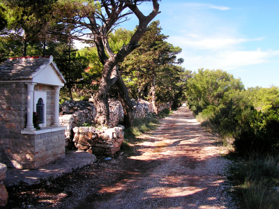 Bild-Nr: 9993369 Feldweg in Kroatien Erstellt von: Galerie-Fotoeffekt