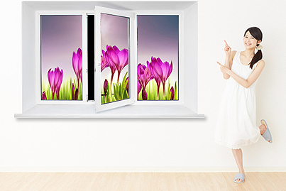 Window Foil with picture of your choice at low prices Window Foil with picture of your choice at low prices