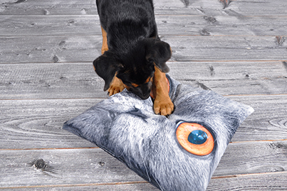 Pillow with picture of your choice at low prices Pillow with picture of your choice at low prices