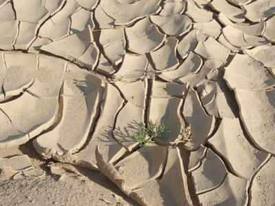 Bild-Nr: 11537812 zum Trotz... Erstellt von: EntdeckungsReise