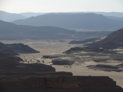 Bild-Nr: 11545200 Kameltrekking Sinai Erstellt von: EntdeckungsReise