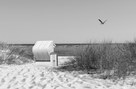 Bild-Nr: 11575268 Strandkorb mit Möwe Erstellt von: uwejaeger
