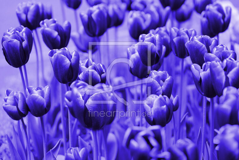 frei w&auml;hlbarer Bildausschnitt f&uuml;r Ihr Bild auf Mousepad