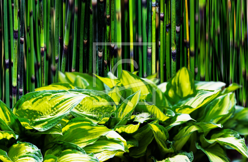 frei w&auml;hlbarer Bildausschnitt f&uuml;r Ihr Bild auf Mousepad