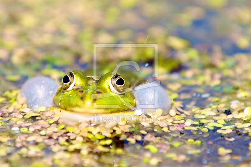 frei wählbarer Bildausschnitt für Ihr Bild auf Mousepad