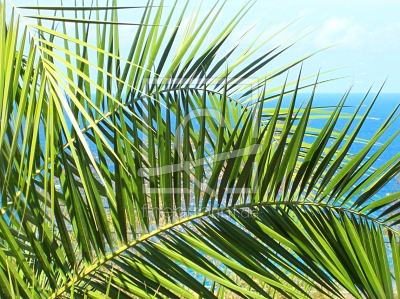 frei wählbarer Bildausschnitt für Ihr Bild auf Mousepad