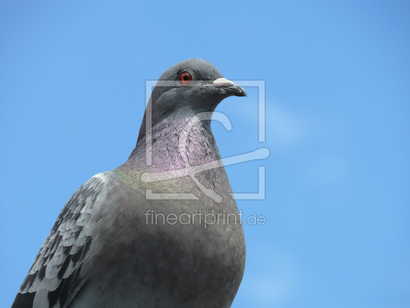 frei wählbarer Bildausschnitt für Ihr Bild auf Mousepad