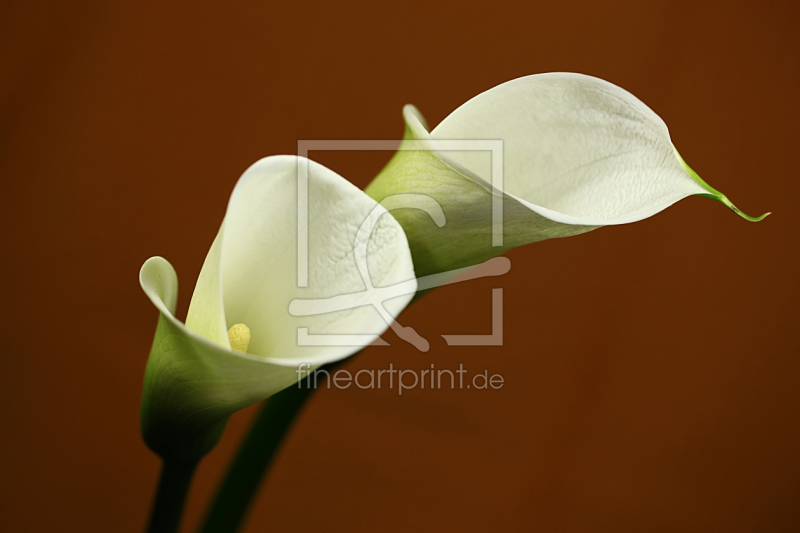 frei wählbarer Bildausschnitt für Ihr Bild auf Mousepad