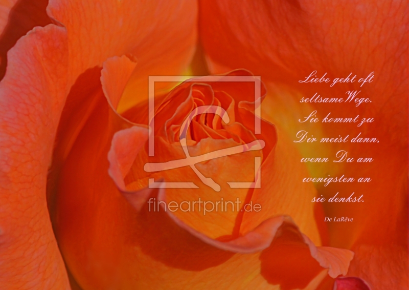 frei w&auml;hlbarer Bildausschnitt f&uuml;r Ihr Bild auf Mousepad