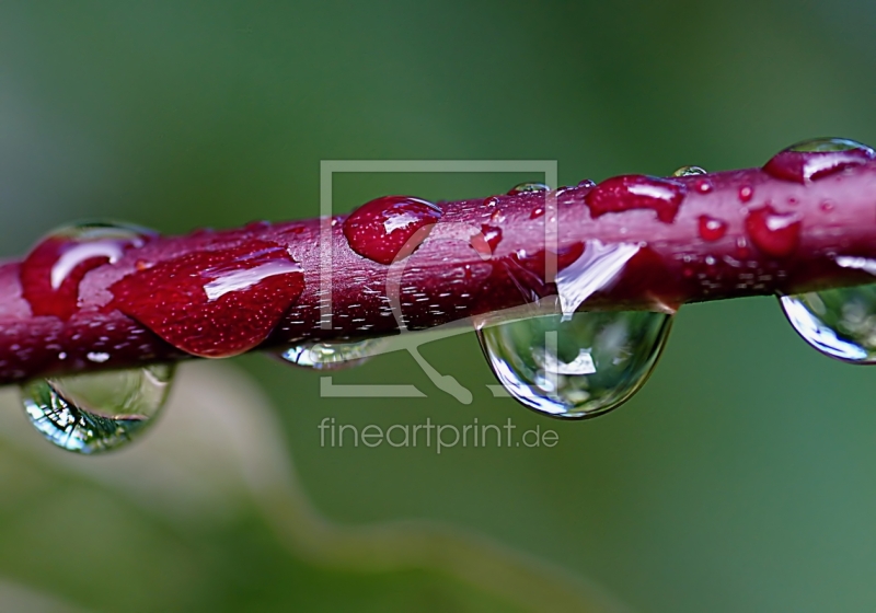 frei w&auml;hlbarer Bildausschnitt f&uuml;r Ihr Bild auf Mousepad