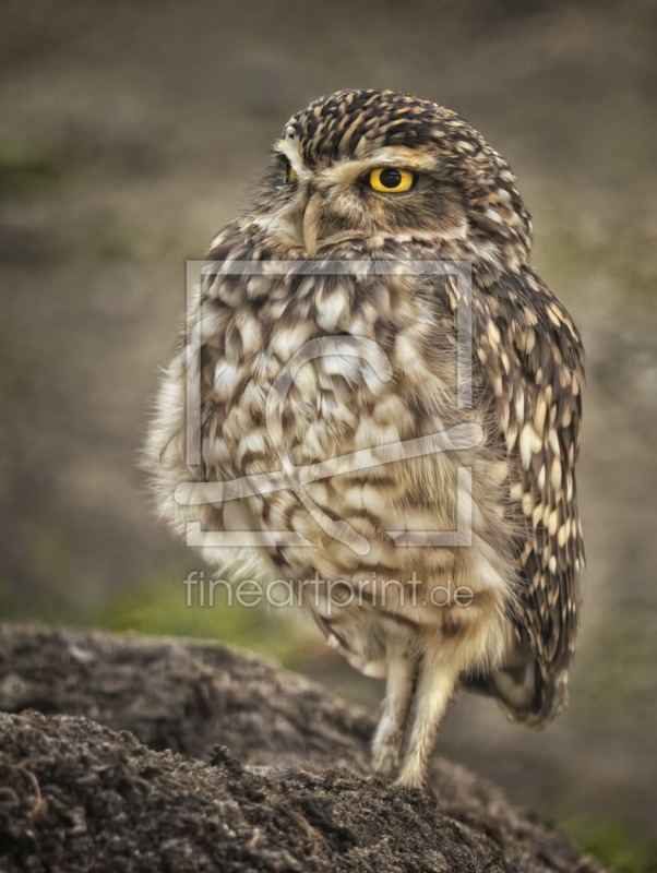 frei wählbarer Bildausschnitt für Ihr Bild auf Mousepad