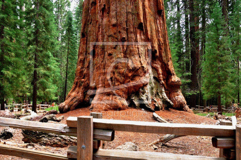 frei w&auml;hlbarer Bildausschnitt f&uuml;r Ihr Bild auf Mousepad