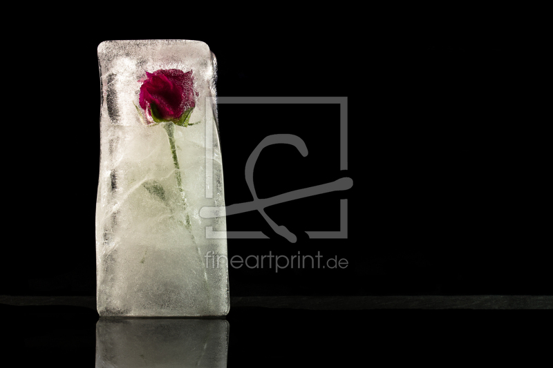 frei w&auml;hlbarer Bildausschnitt f&uuml;r Ihr Bild auf Mousepad