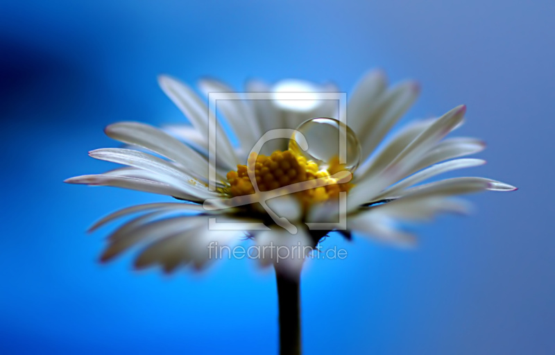 frei w&auml;hlbarer Bildausschnitt f&uuml;r Ihr Bild auf Mousepad