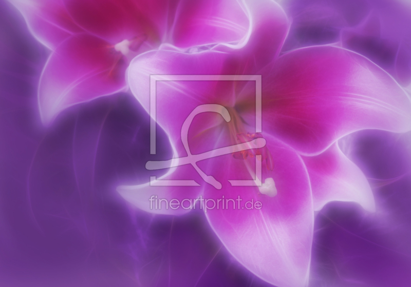 frei wählbarer Bildausschnitt für Ihr Bild auf Mousepad