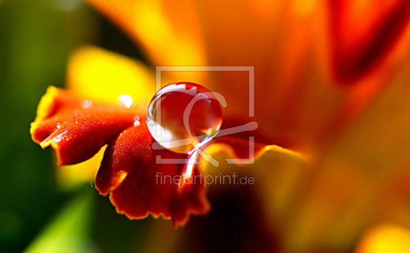 frei wählbarer Bildausschnitt für Ihr Bild auf Mousepad