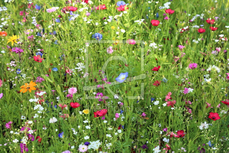 frei wählbarer Bildausschnitt für Ihr Bild auf Mousepad