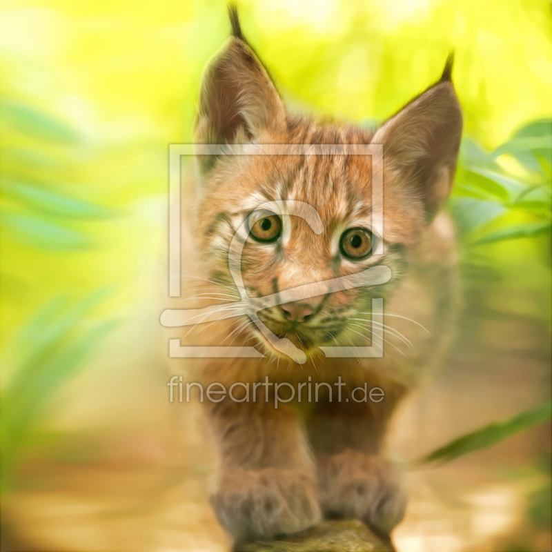 frei wählbarer Bildausschnitt für Ihr Bild auf Mousepad