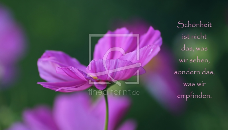 frei w&auml;hlbarer Bildausschnitt f&uuml;r Ihr Bild auf Mousepad