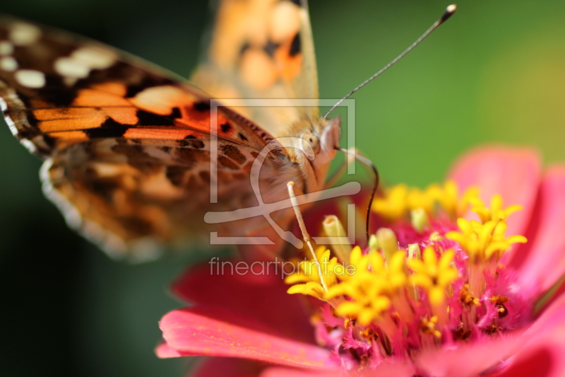 frei wählbarer Bildausschnitt für Ihr Bild auf Mousepad