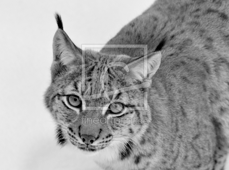 frei wählbarer Bildausschnitt für Ihr Bild auf Mousepad