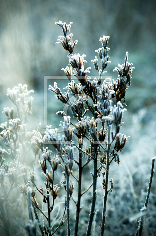 frei wählbarer Bildausschnitt für Ihr Bild auf Mousepad