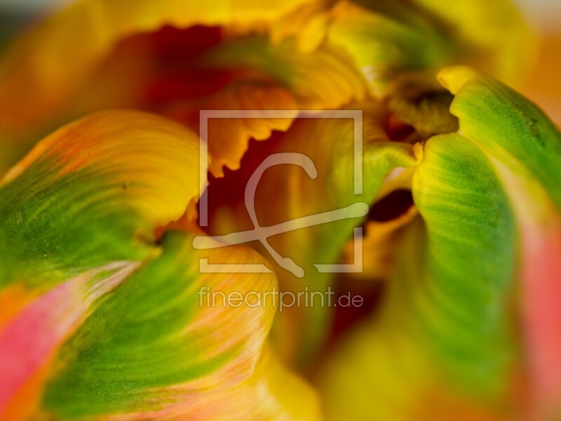 frei w&auml;hlbarer Bildausschnitt f&uuml;r Ihr Bild auf Mousepad