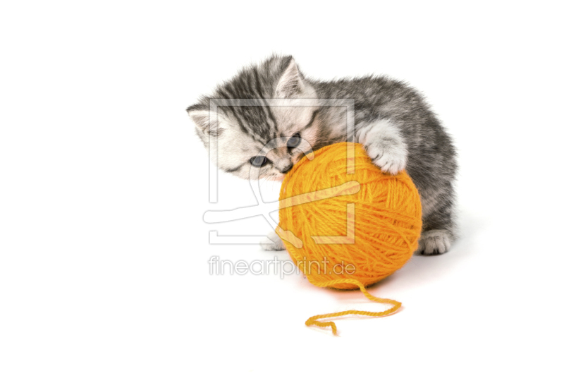 frei wählbarer Bildausschnitt für Ihr Bild auf Mousepad