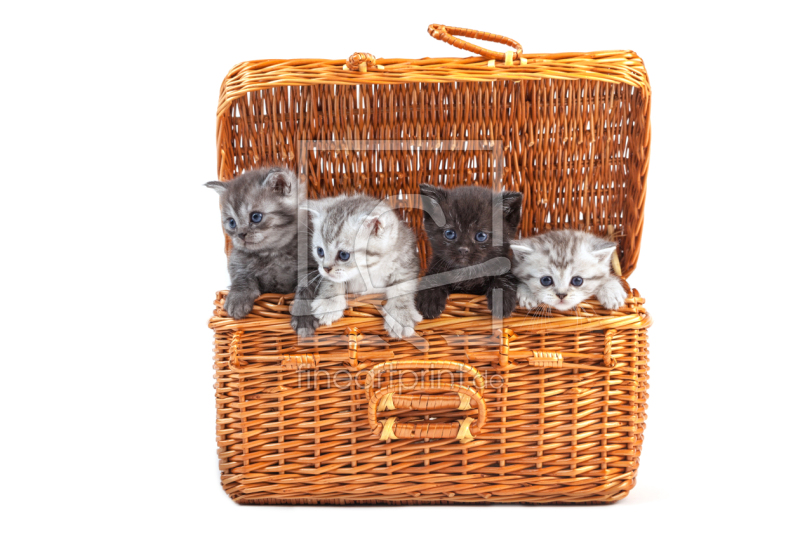 frei w&auml;hlbarer Bildausschnitt f&uuml;r Ihr Bild auf Mousepad