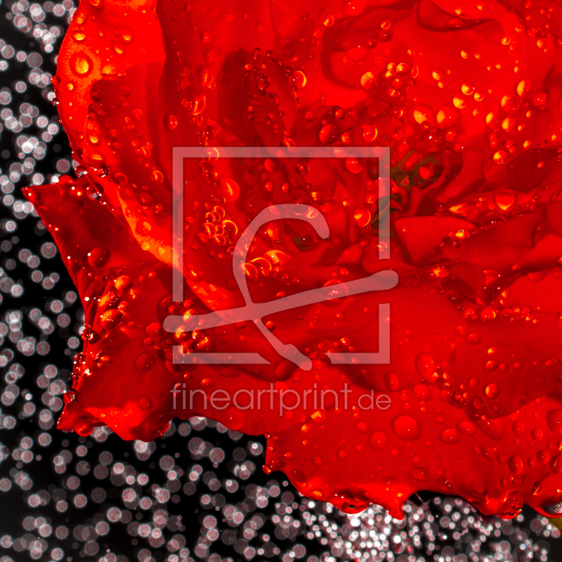 frei wählbarer Bildausschnitt für Ihr Bild auf Mousepad