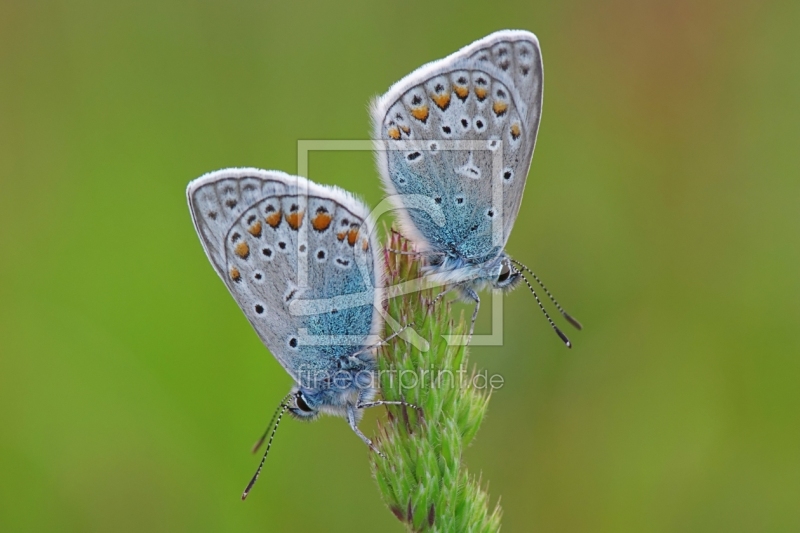 frei w&auml;hlbarer Bildausschnitt f&uuml;r Ihr Bild auf Mousepad