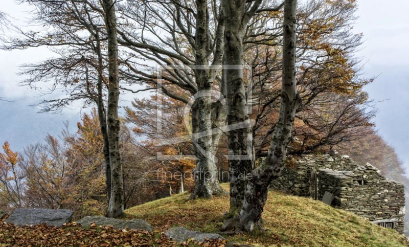frei wählbarer Bildausschnitt für Ihr Bild auf Mousepad