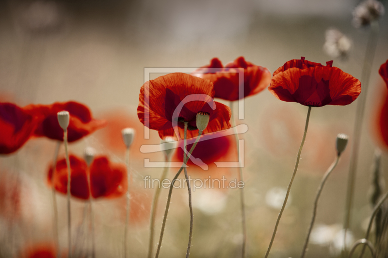 frei wählbarer Bildausschnitt für Ihr Bild auf Mousepad