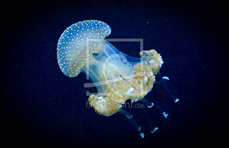 frei wählbarer Bildausschnitt für Ihr Bild auf Mousepad