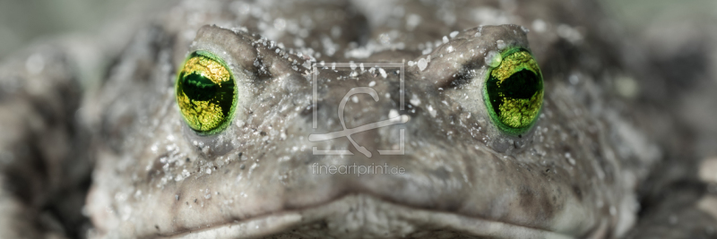 frei w&auml;hlbarer Bildausschnitt f&uuml;r Ihr Bild auf Mousepad