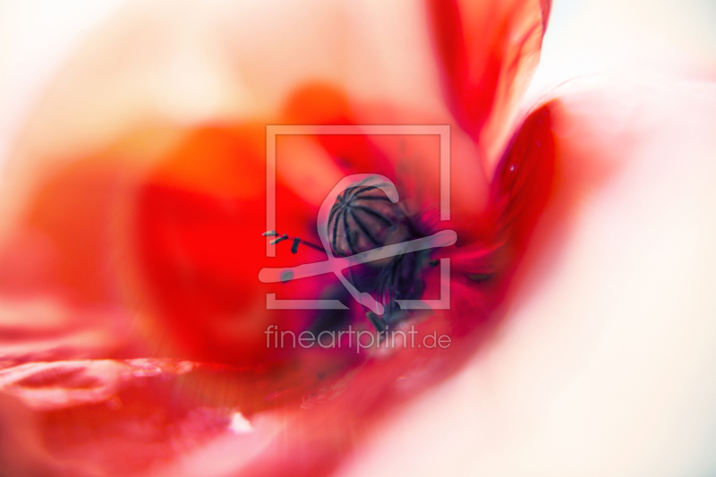 frei wählbarer Bildausschnitt für Ihr Bild auf Mousepad