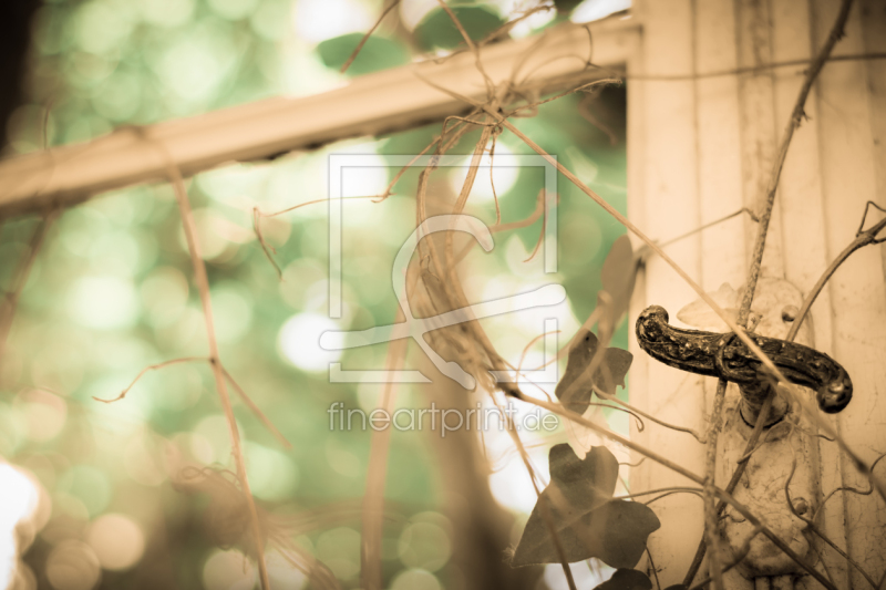 frei w&auml;hlbarer Bildausschnitt f&uuml;r Ihr Bild auf Mousepad