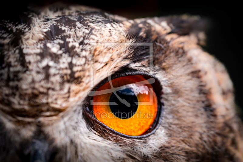 frei w&auml;hlbarer Bildausschnitt f&uuml;r Ihr Bild auf Mousepad