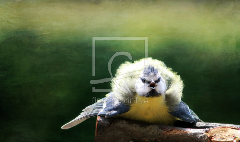frei wählbarer Bildausschnitt für Ihr Bild auf Mousepad