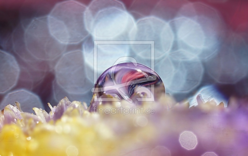 frei wählbarer Bildausschnitt für Ihr Bild auf Mousepad