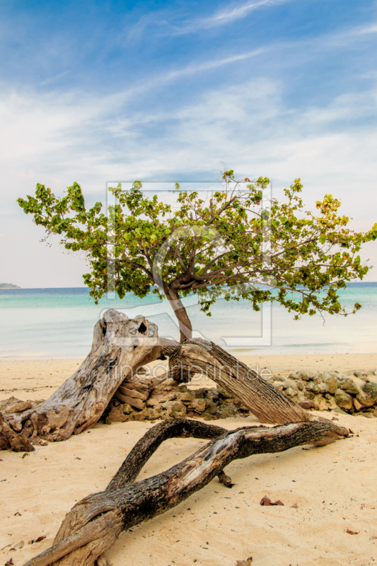 frei wählbarer Bildausschnitt für Ihr Bild auf Mousepad