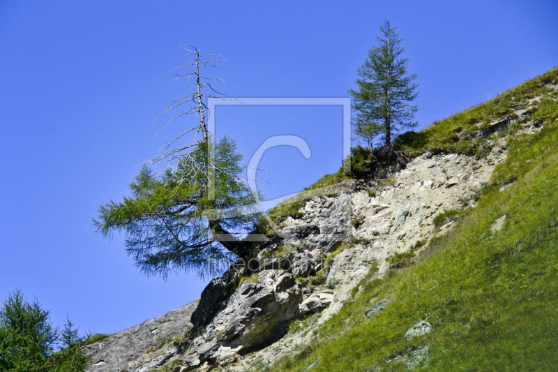 frei w&auml;hlbarer Bildausschnitt f&uuml;r Ihr Bild auf Mousepad
