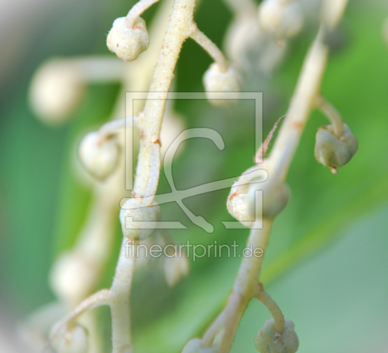 frei wählbarer Bildausschnitt für Ihr Bild auf Mousepad