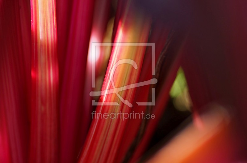 frei wählbarer Bildausschnitt für Ihr Bild auf Mousepad