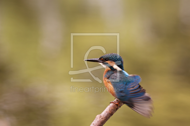 frei w&auml;hlbarer Bildausschnitt f&uuml;r Ihr Bild auf Mousepad