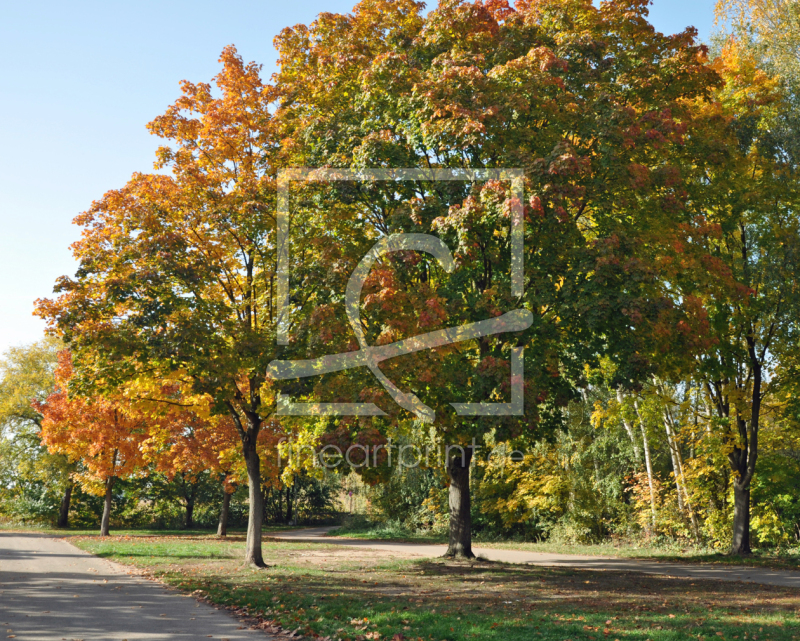 frei w&auml;hlbarer Bildausschnitt f&uuml;r Ihr Bild auf Mousepad