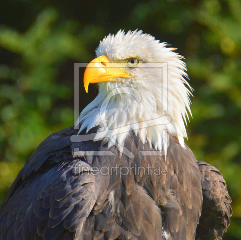 frei w&auml;hlbarer Bildausschnitt f&uuml;r Ihr Bild auf Mousepad