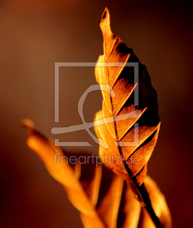 frei wählbarer Bildausschnitt für Ihr Bild auf Mousepad